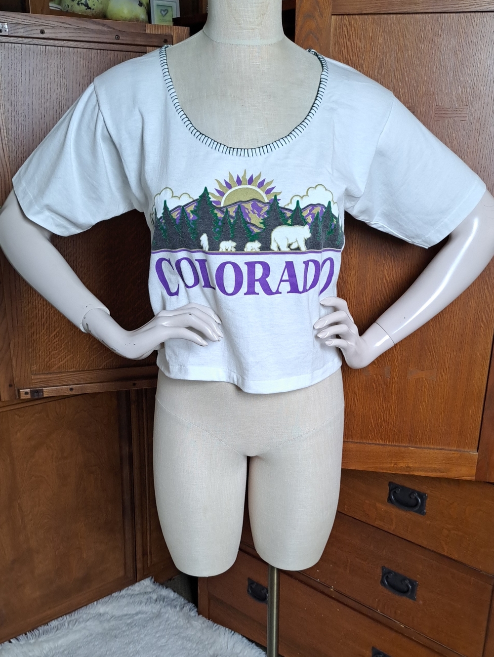 Vintage Colorado Single Stitch Graphic Crop Top Embellished Neckline Small